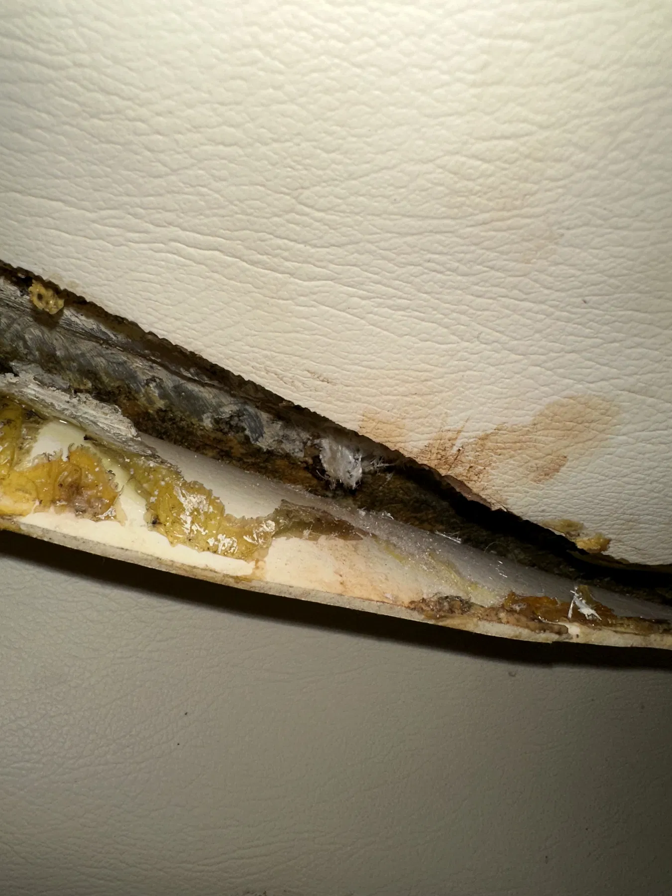 Geschädigtes Boot SANKARA – Geöffneter Übergang unter einer Innenverkleidung mit sichtbarer Klebe- beziehungsweise Laminatstruktur.