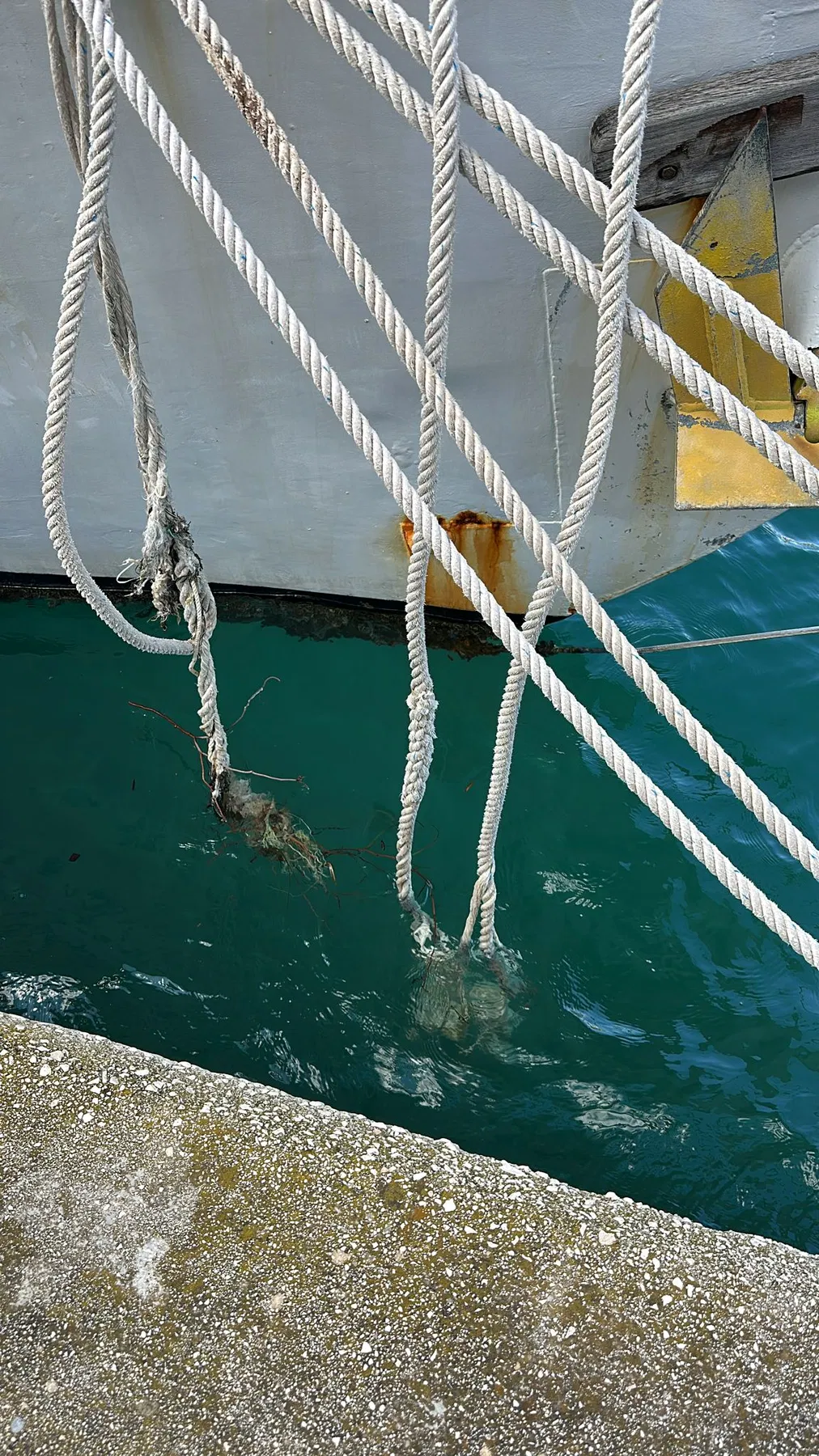 Verursacherboot NAUSICAA – Weitere Nahaufnahme frei hängender und ausgefranster Leinen im Festmacherbereich.